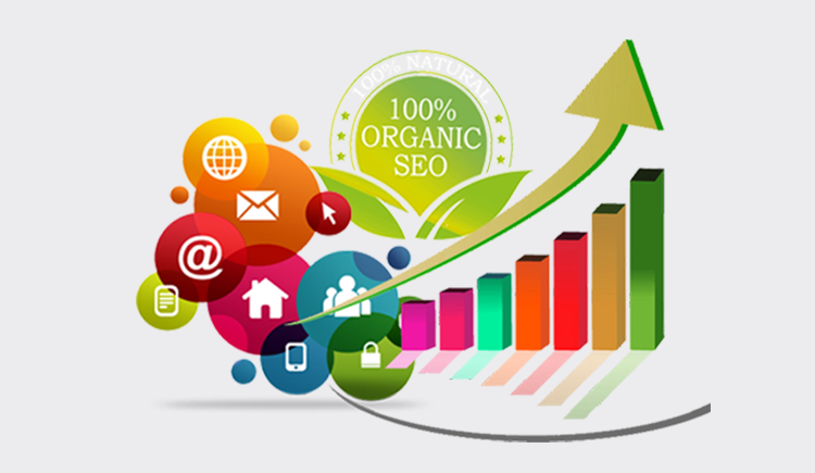 Organic SEO for Websites
